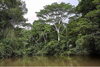 ADV游戏《文字化化》Steam页面正式上线 发售日期待定